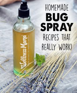 Home Made Bug Spray Recipe